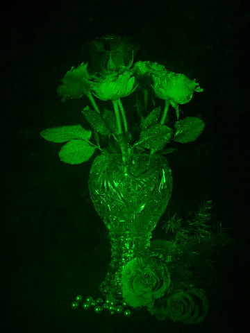 Розы в хрустальной вазе 3D лазерная голограмма