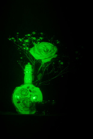 Роза с коньяком 3D лазерная голограмма