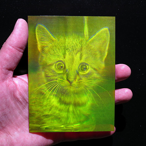 Котенок-3D лазерная голограмма на пленке- 4x5" (9x12cm) 